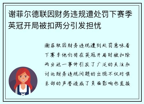 谢菲尔德联因财务违规遭处罚下赛季英冠开局被扣两分引发担忧 谢菲尔德联因财务违规遭处罚下赛季英冠开局被扣两分引发担忧